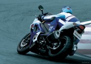 Suzuki GSX-R1000